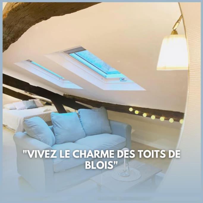 Le Grenier - Hyper Centre Blois