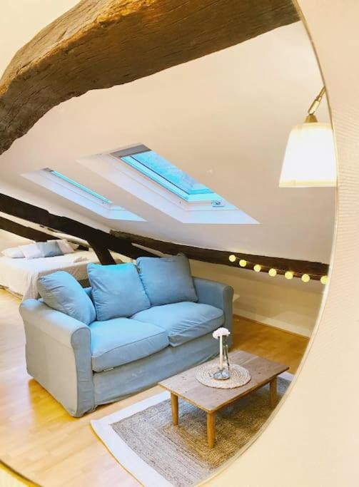 Appartement Le Grenier - Hyper Centre Blois